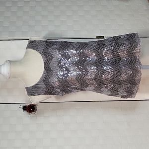 Coldwater Creek Size Small- Women's Chevron Sequined Tank Top